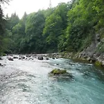 In Near And Islands Вербания
