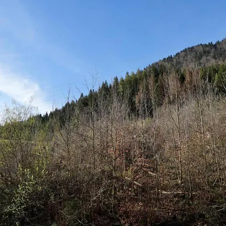 Daire In Near And Islands Verbania